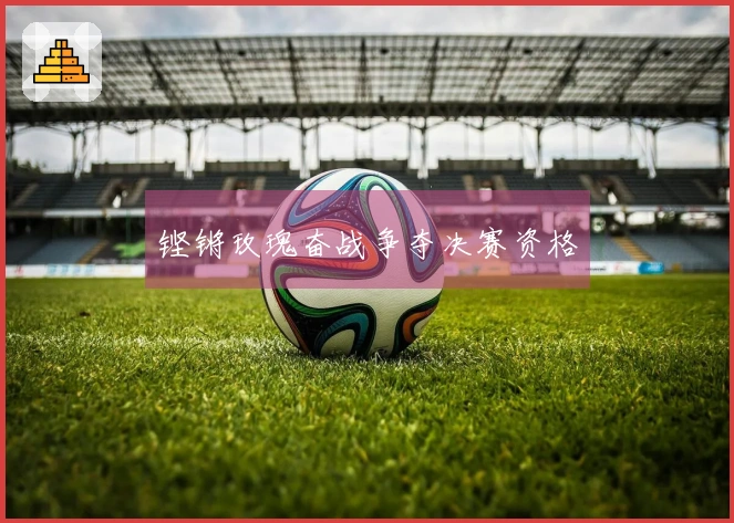 铿锵玫瑰奋战争夺决赛资格