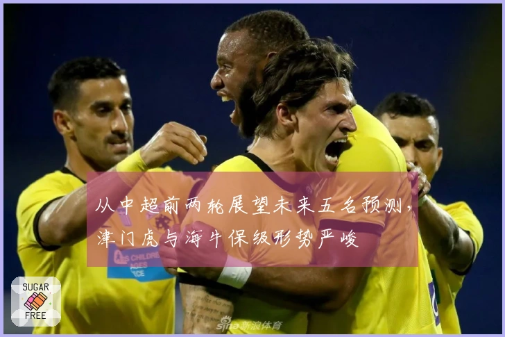 从中超前两轮展望未来五名预测，津门虎与海牛保级形势严峻